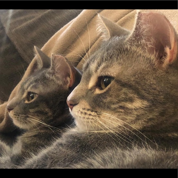 Meet your Posher, Paula - Picture 6 of 6